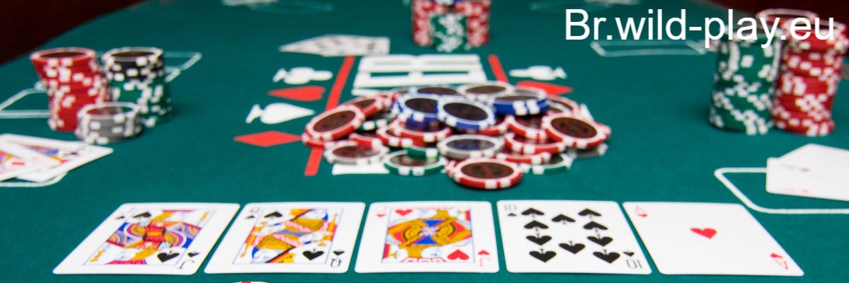 br.wild-play.eu